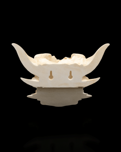 Drip & Decay Dragon Skull Wall Planter – Gothic Fantasy Hanging Pot | 3D Printed Skull Wall Décor (2 Sizes)