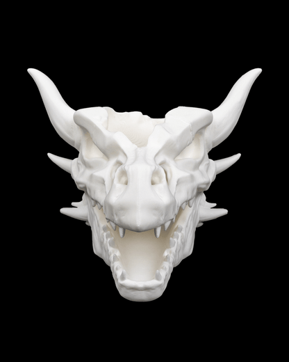 Drip & Decay Dragon Skull Wall Planter – Gothic Fantasy Hanging Pot | 3D Printed Skull Wall Décor (2 Sizes)