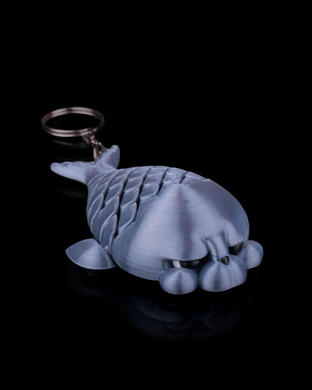 Phil the Seal – Flippers, Wiggles, and Big-Time Smiles - Fusion Layer 3D