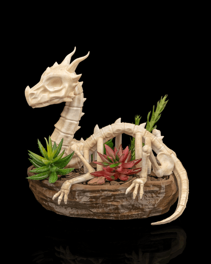 Verdant Remains Dragon Skull Planter – Fantasy Gothic Skeleton Pot | 3D Printed Mythical Home & Garden Décor