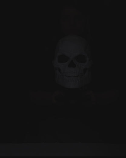 Inside Out Skull Mask (3 Sizes)