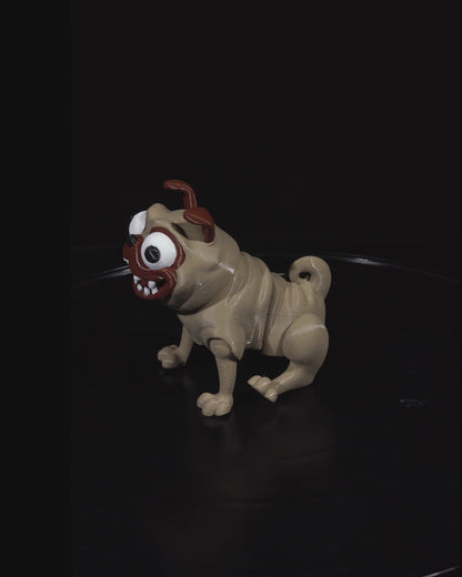 Frankie – The Squishy-Faced Sidekick