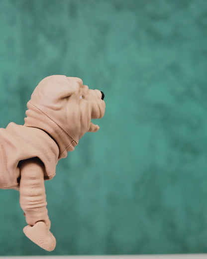 Louis – The Wrinkly Wonder Pup