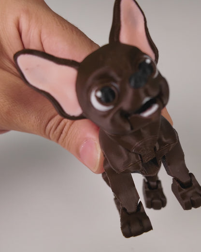 Lupe the Chihuahua – Tiny Frame, Big Attitude