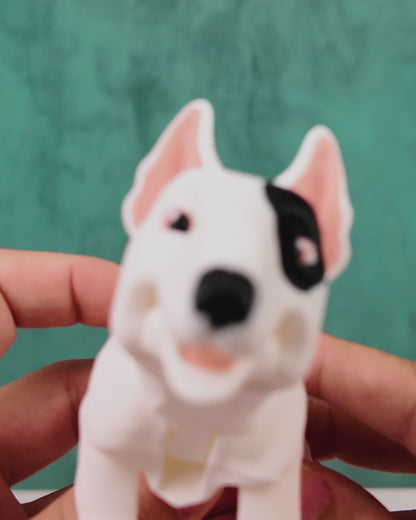 Rex – The Bold and Bouncy Bull Terrier