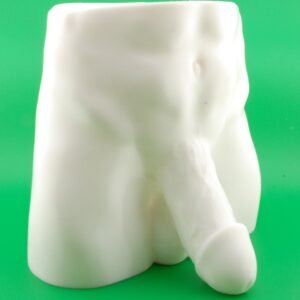 hung & planted naughty planter – funny adult novelty pot | risqué gag gift | naughty succulent & herb holder