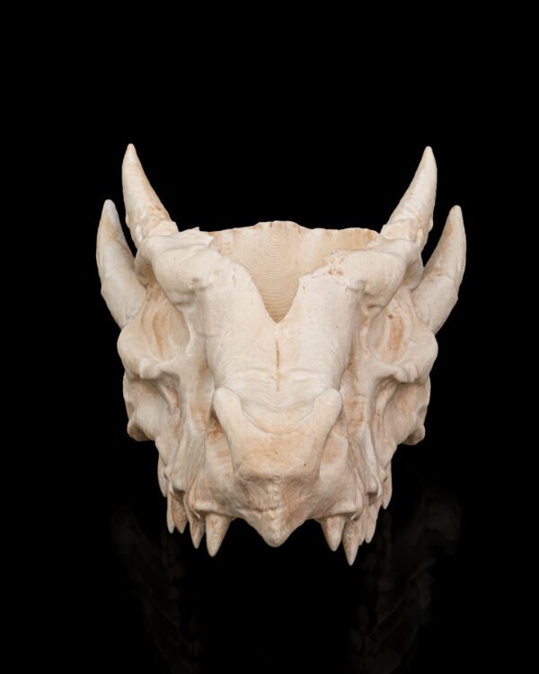 deathroot skull dragon planter – gothic fantasy skull pot | 3d printed mythical home & garden décor (3 sizes)
